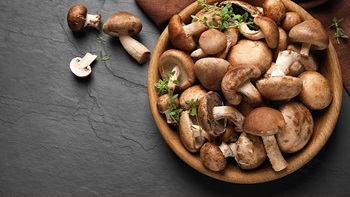 Funghi commestibili