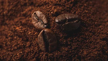 caffè