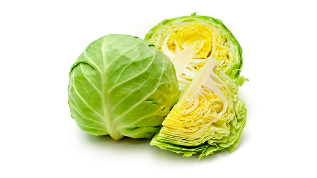 cavolo