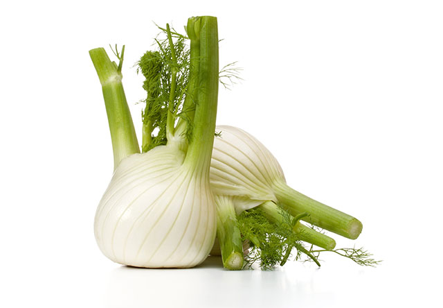 finocchio