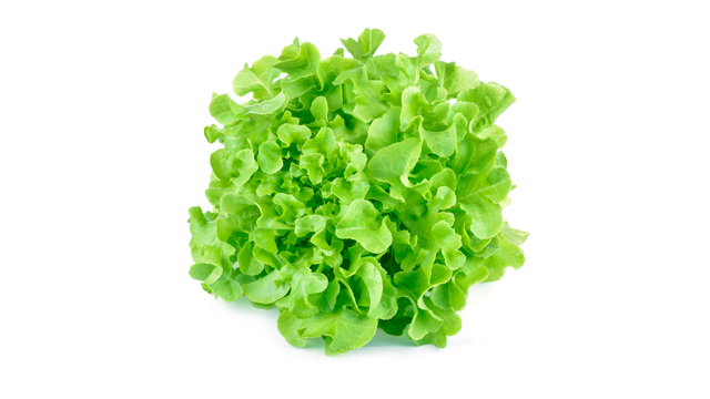 insalata