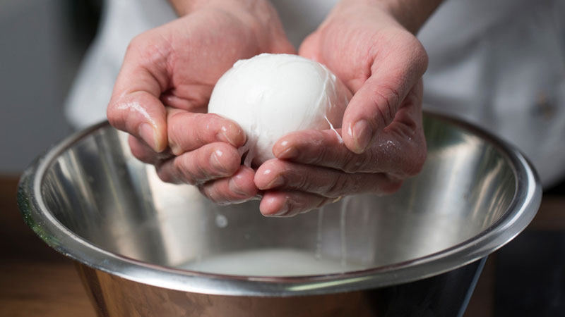 bacinella metallica sotto mani con una mozzarella