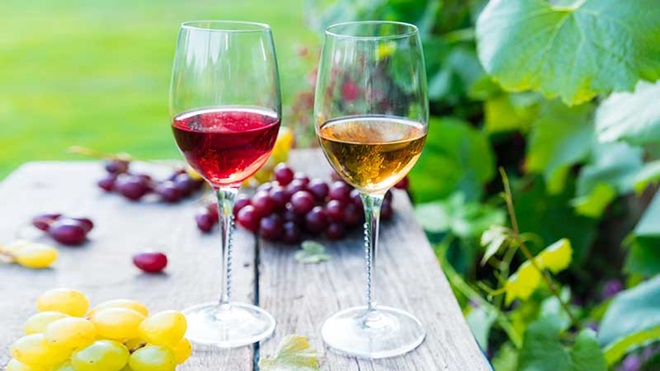 Vino falsi miti