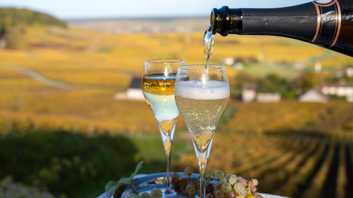 Bicchieri di spumante e vigneti
