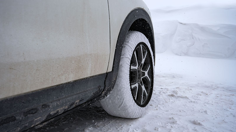 calze gomme da neve