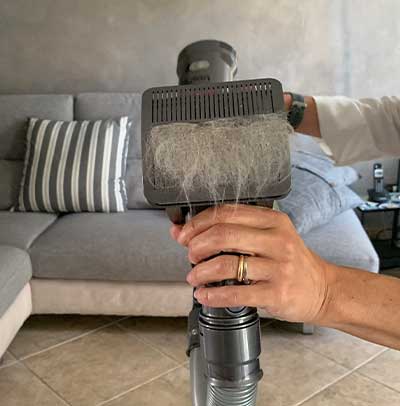 Setole Dyson