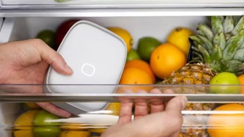 Frutta e verdura in frigo con shelfy