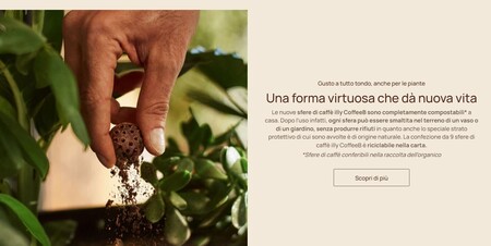 Capsule compostabili