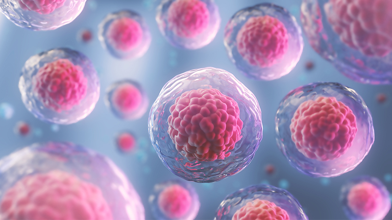 Tutto Sulle Staminali Da Cordone Ombelicale Segnalate Le Banche Private La Pubblicita E Vietata Altroconsumo