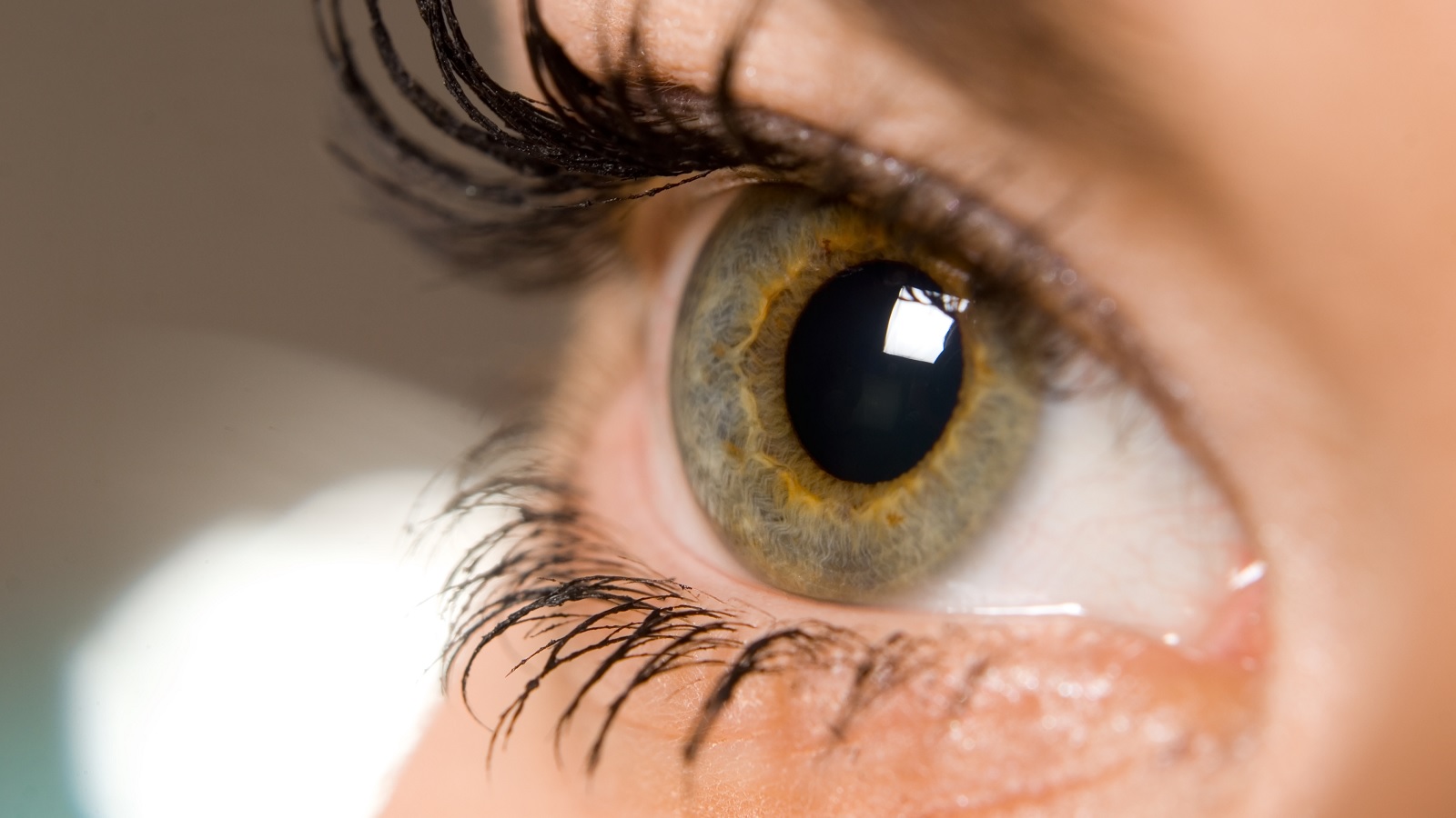 Caso AvastinLucentis condanne confermate per Roche e Novartis