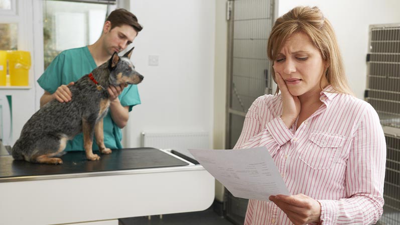 donna guarda foglio nello studio del veterinario