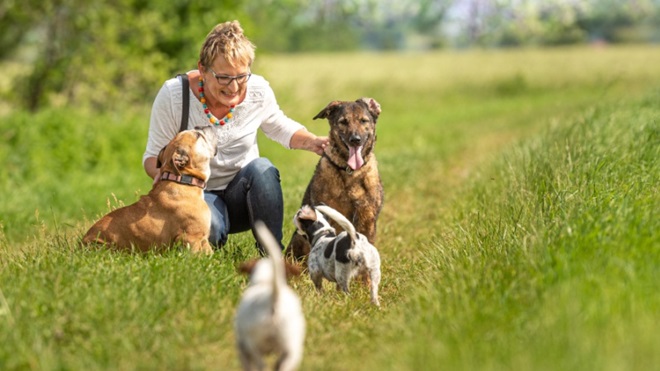 Dog sitter al parco