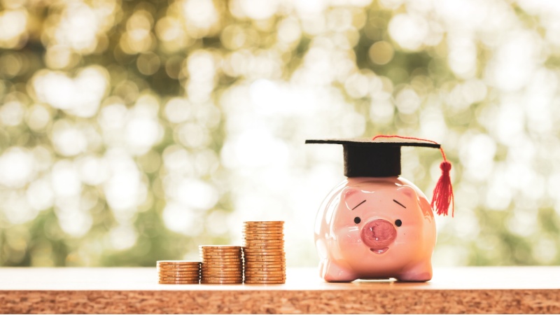 Maialino salvadanaio laureato con monete