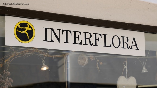 Vetrina Interflora con insegna