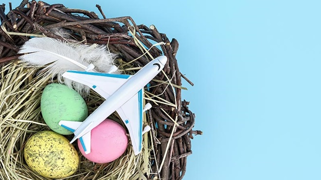 nido con uova colorate e aeroplanino