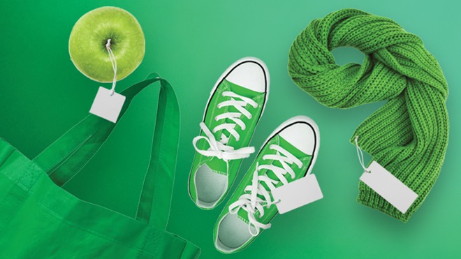 scarpe,sciarpa, mela e borsa su fondo verde