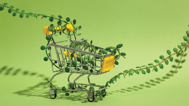 carrello circondato da ramo con foglie