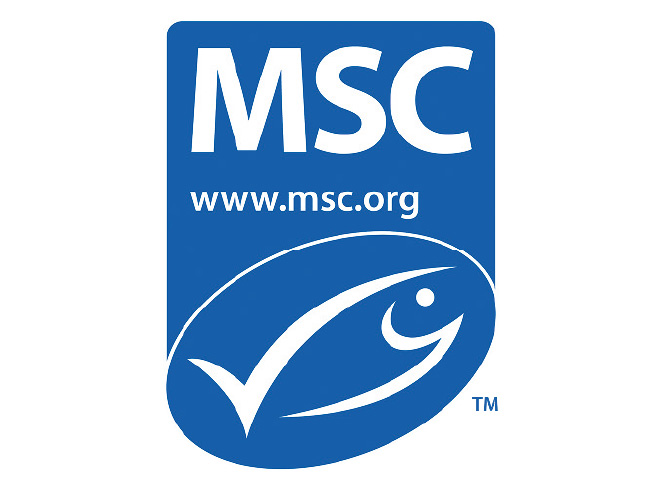 MSC