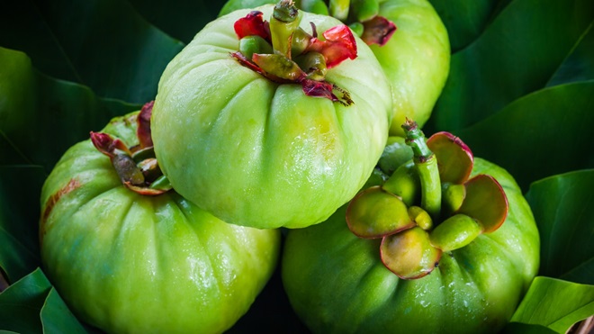 Garcinia Cambogia