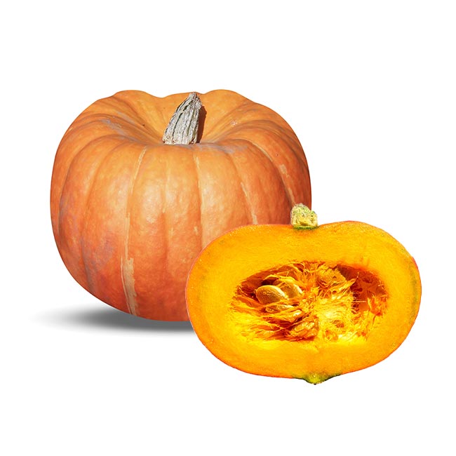 zucca gigante o cucurbita maxima