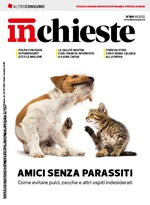 Inchieste