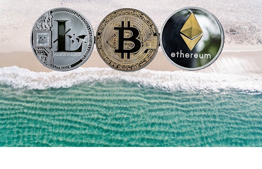 L'estate è il momento giusto per approfondire le materie di investimento, anche le criptovalute.