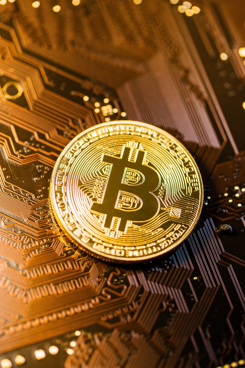 Il 2023 è stato un anno positivo per il BitCoin e le criptovalute.