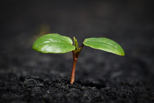 Ragioniamo nel delineare le nostre strategie di investimento in un ordine di anni.