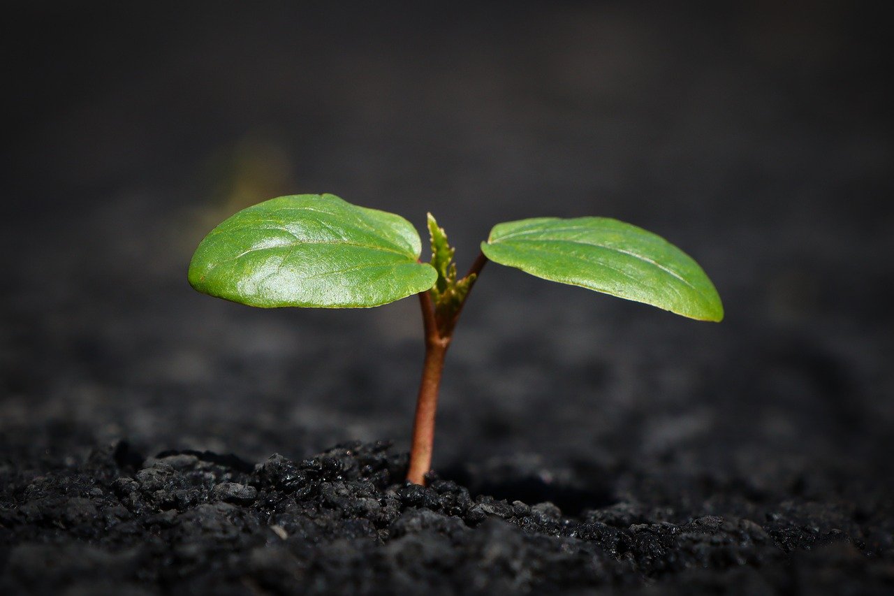 Ragioniamo nel delineare le nostre strategie di investimento in un ordine di anni.