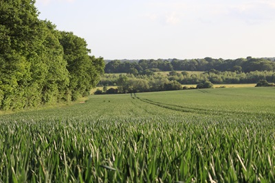Sono stati proposti in sede UE dazi sui fertilizzanti di Russia e Bielorussia per sostenere l’industria UE rafforzare la nostra sicurezza alimentare.