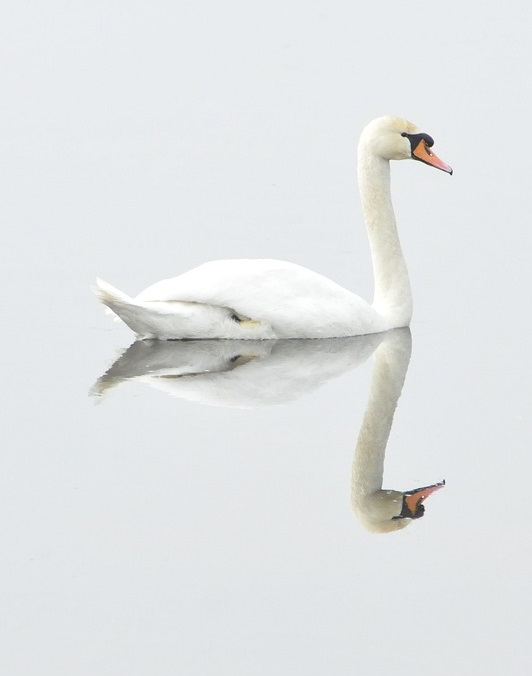 Ci sono fenomeni simmetrici negli investimenti.