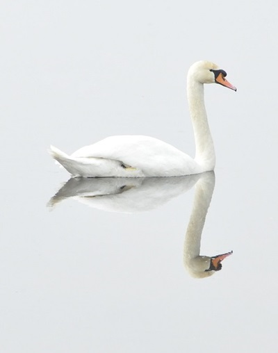 Ci sono fenomeni simmetrici negli investimenti.