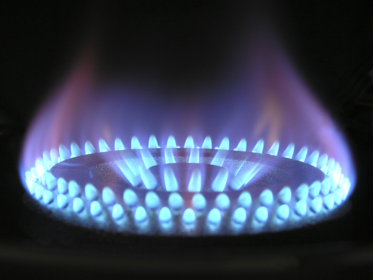 È uno dei leader nella produzione di componenti per apparecchi domestici per i fornelli a gas. 