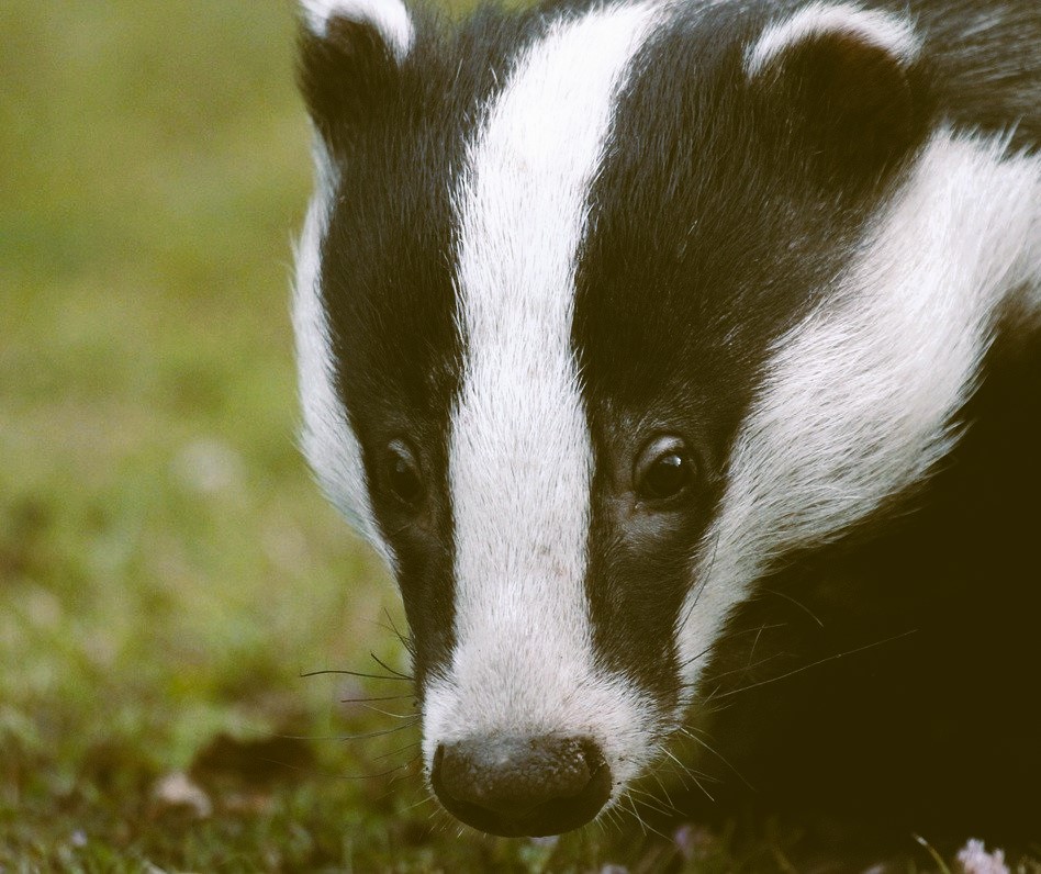 Stiamo attendendo da diverso tempo che vada in porto la revisione del sistema tributario le cui linee guida sono state scritte nell’agosto 2023: tra di esse vi è il superamento della distinzione tra redditi di capitale e redditi diversi. 