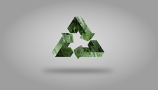 Waste management: trimestrale
