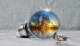 Energie rinnovabili: che fare?