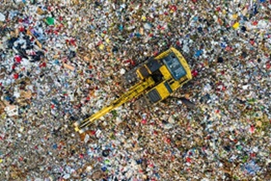 Waste management: trimestrale